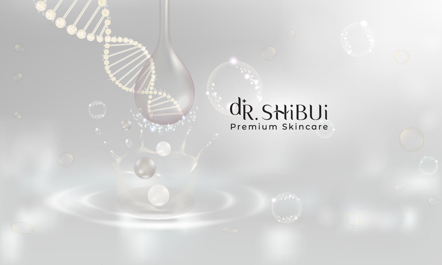 Dr. Shibui