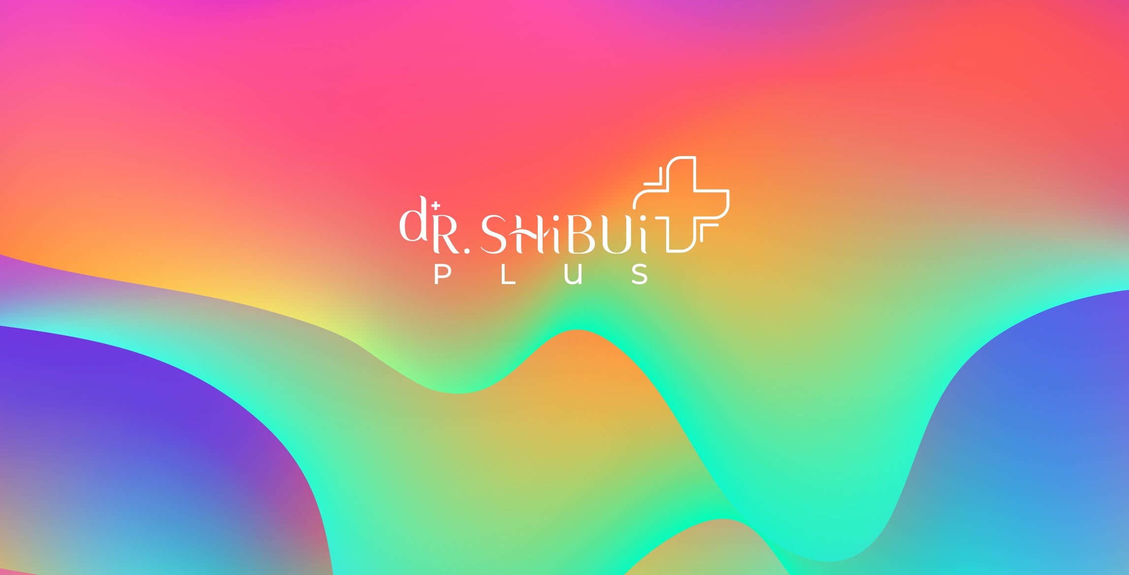 Dr. Shibui Plus